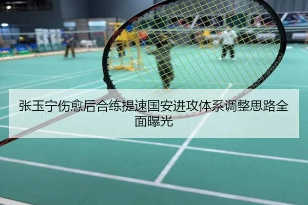 张玉宁伤愈后合练提速国安进攻体系调整思路全面曝光